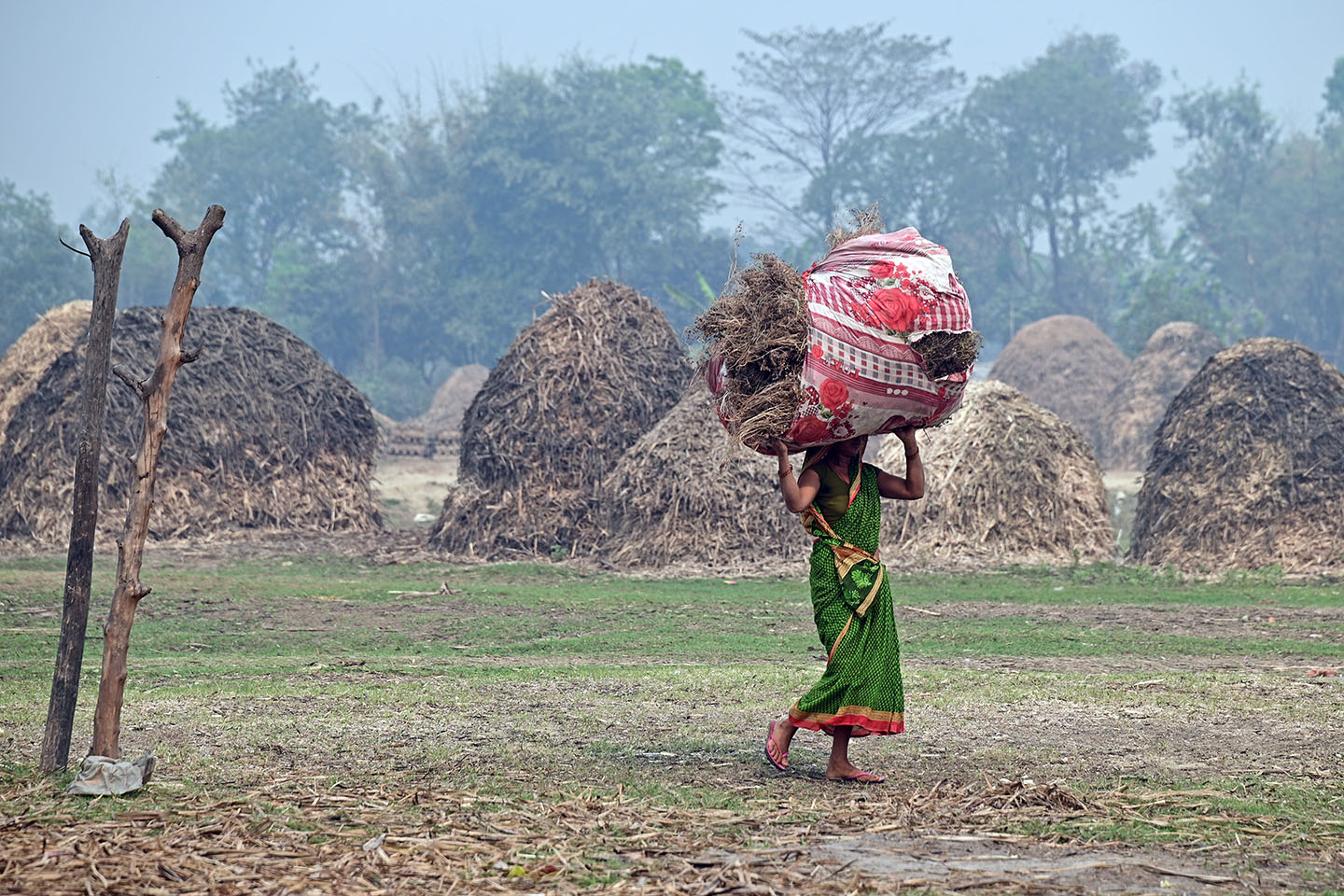 सखर तयार गर्नमा स्थानीय महिलाहरूको पनि प्रमुख सहभागिता हुन्छ ।