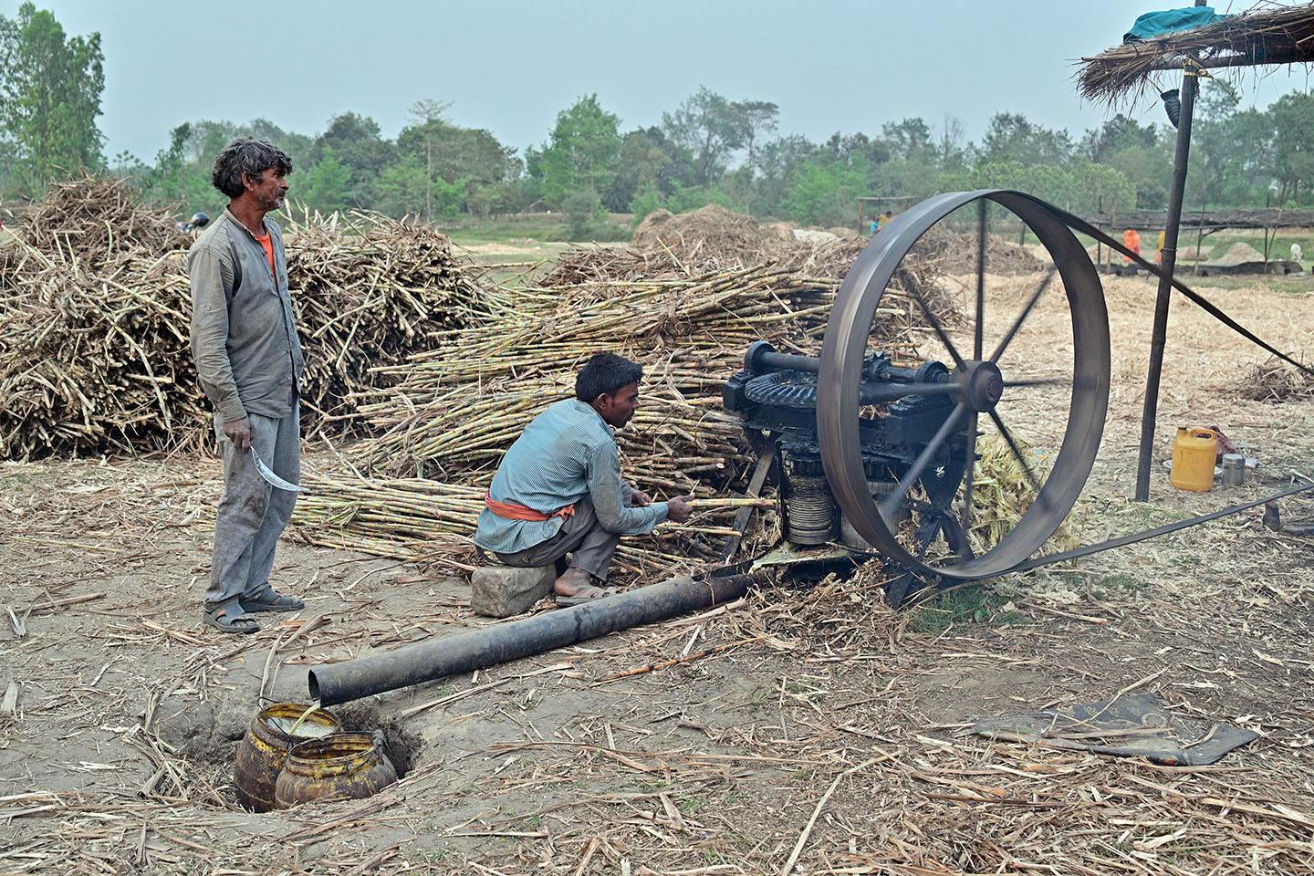 उखुबाट रस निकाल्दै ।