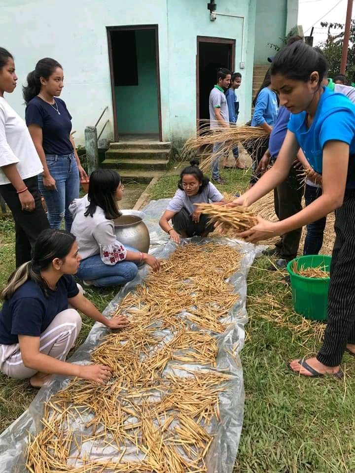 हर्टिकल्चरका विद्यार्थी प्राक्टिकल गर्दै । तस्वीर: महिमा गोतामे