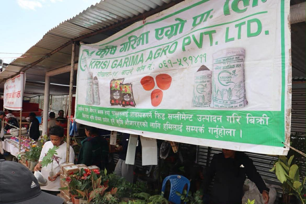 ४-1775910586.jpg
