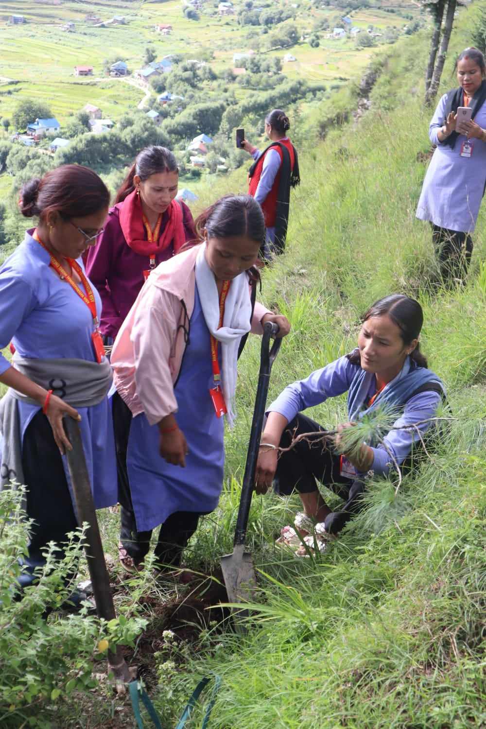 तीजको अवसरमा शिक्षिकाहरूले गरे वृक्षरोपण