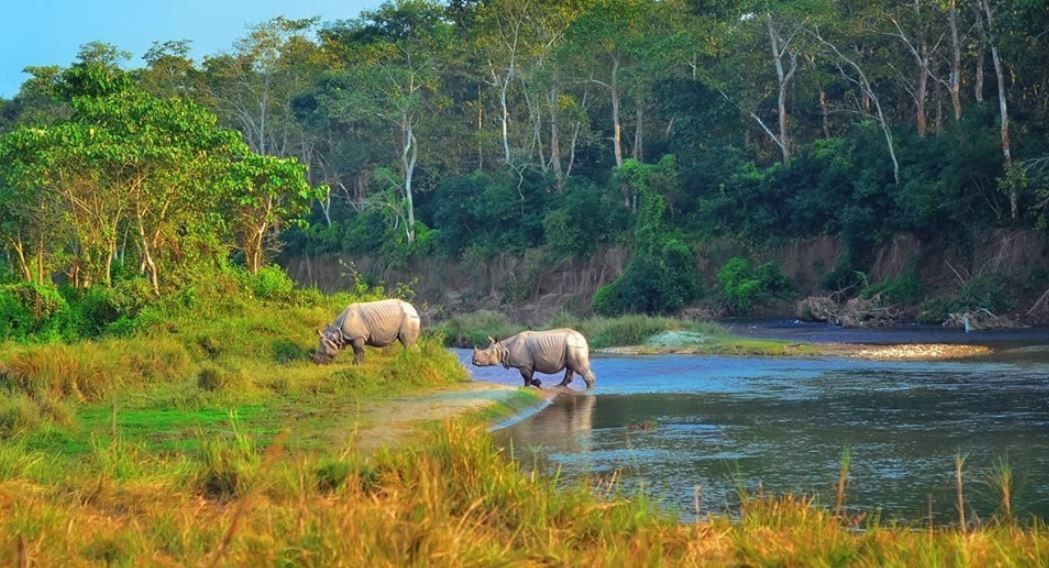 अंग्रेजी नयाँ वर्षमा पनि आएनन् सौराहामा पर्यटक