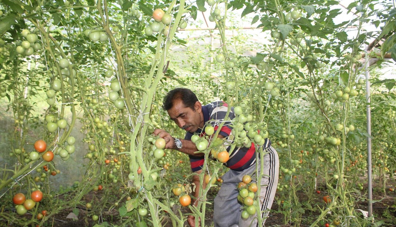 ‘आफ्नै खेतबारीमा नङग्रा खियाउँदा सन्तुष्टी मिल्दो रहेछ’