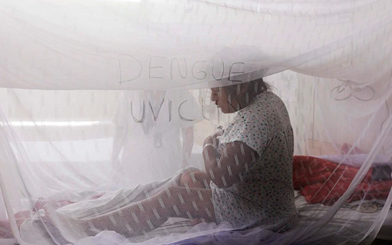 दक्षिण अमेरिका र क्यारेबियन क्षेत्रमा डेंगीको त्रासदी, ४ महिनामा ६० लाख संक्रमित