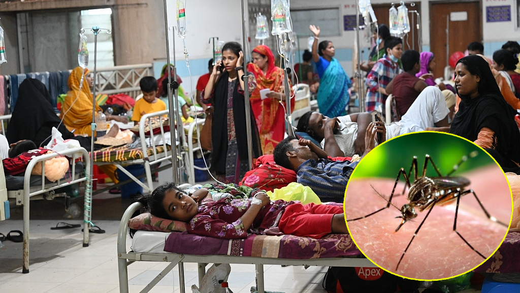 डेंगीका कारण बंगलादेशमा यस वर्ष हजारभन्दा बढीको मृत्यु
