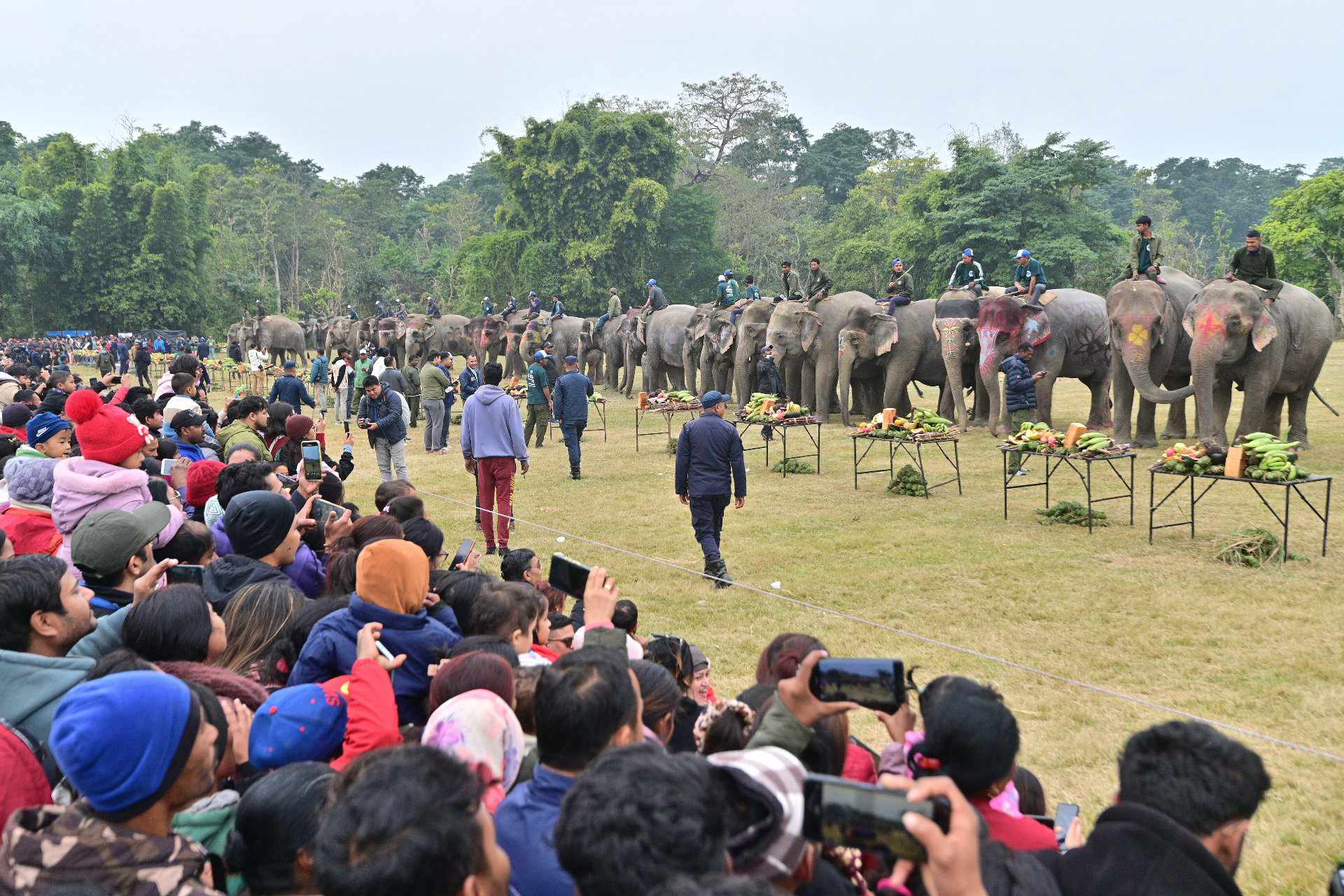 ७० वटा हात्तीलाई गराइयो भोजन (फोटो फिचर) 