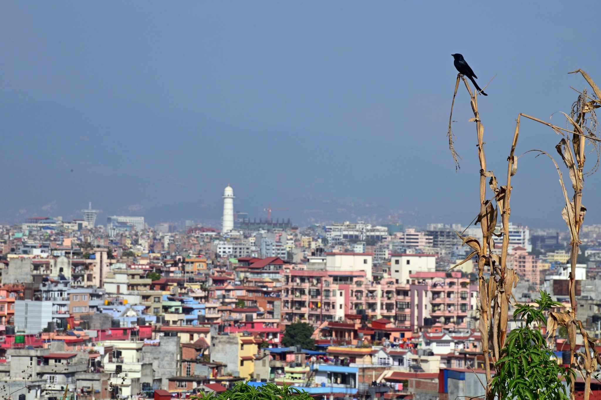 काठमाडौं उपत्यकामा आज आंशिक बदली हुने