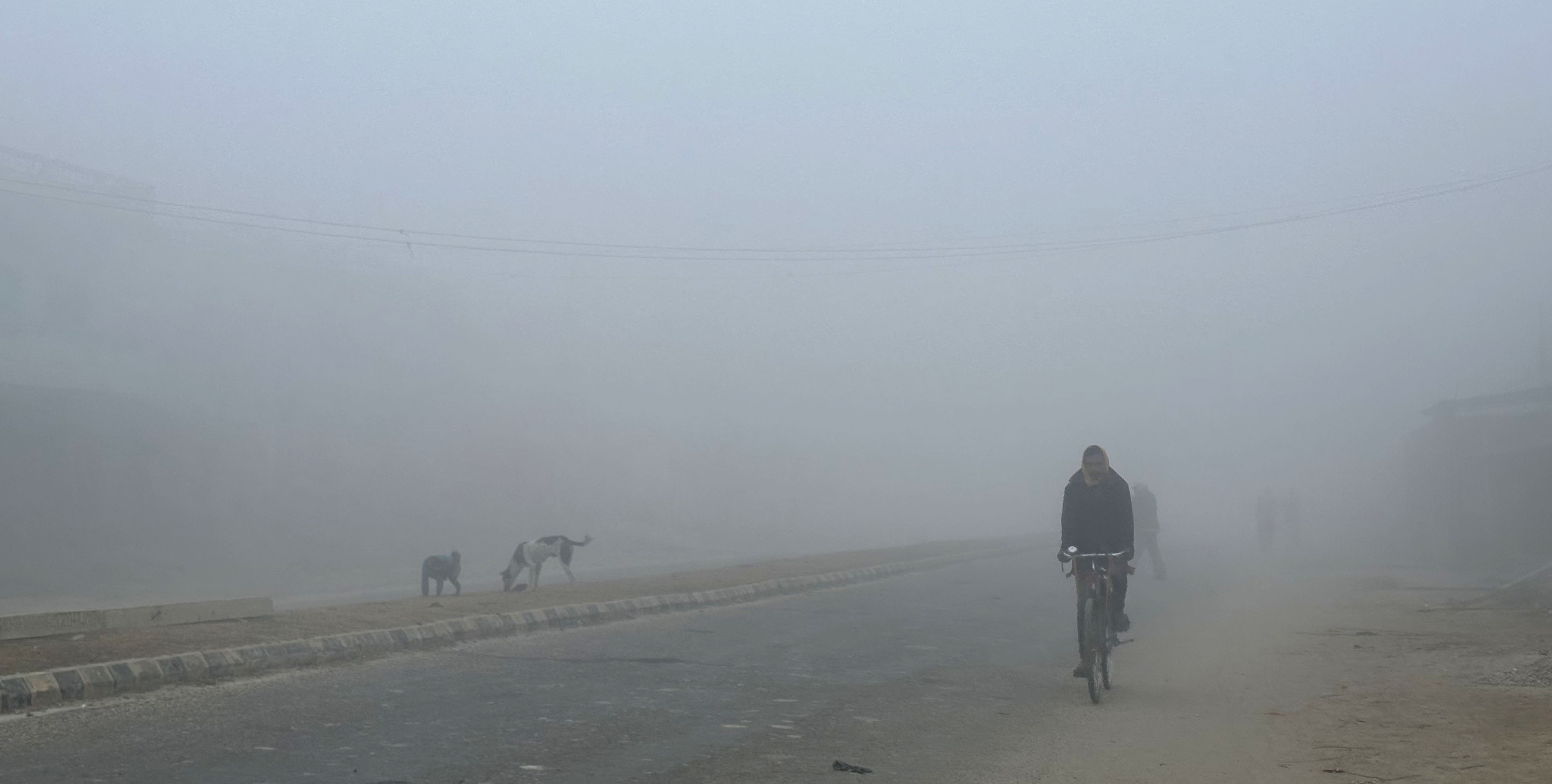 बाक्लो कुहिरो लागेपछि तराई मधेशको जनजीवन प्रभावित