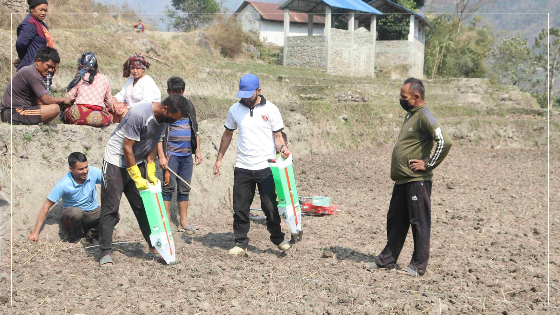 सामूहिक मकैखेती गर्दै ताप्लेजुङका किसान