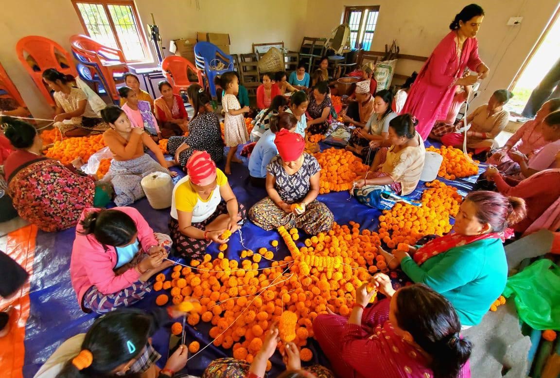 तनहुँको सयपत्री कतार निर्यात