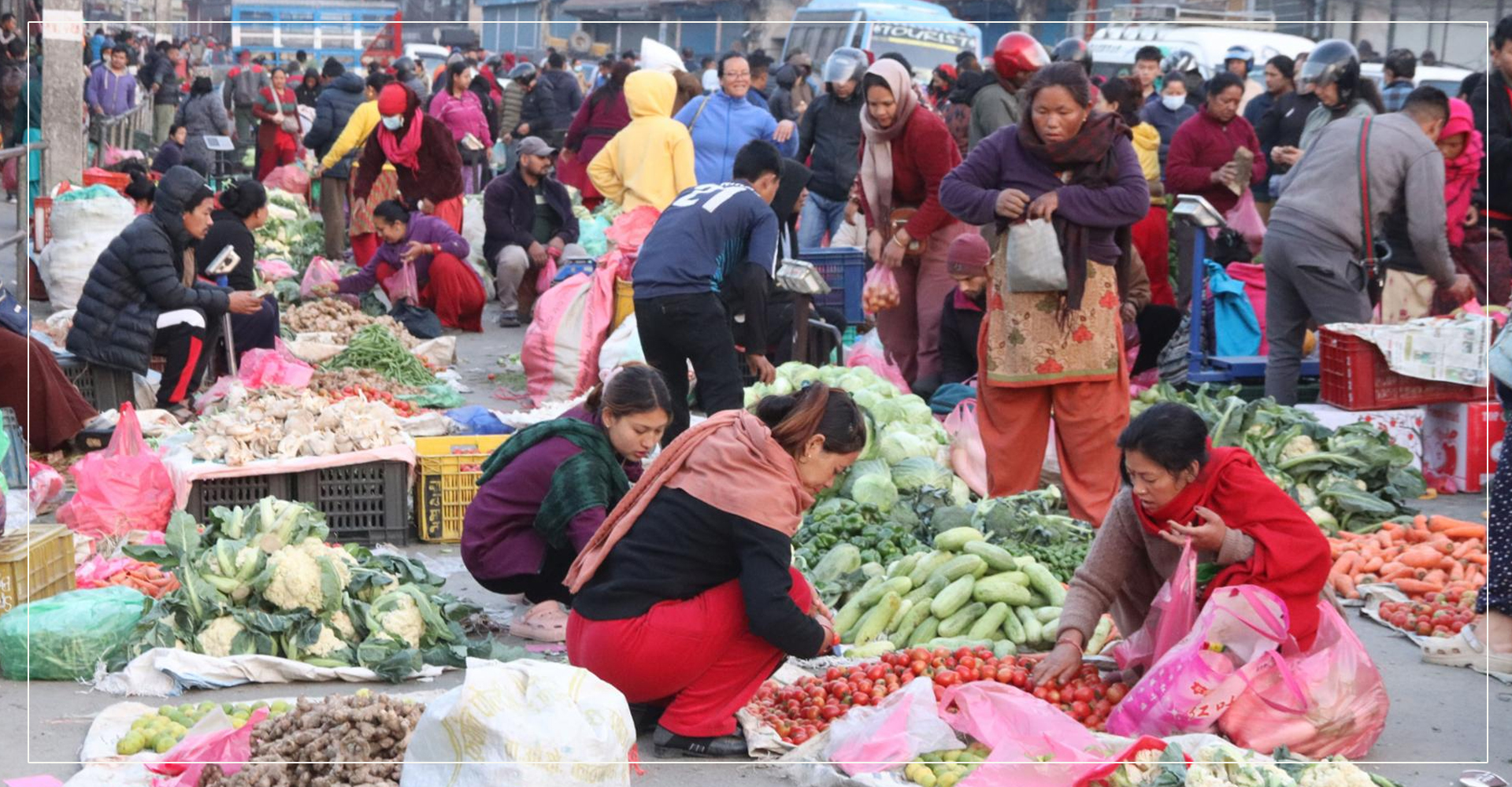 तरकारी किन्न जाँदै हुनुहुन्छ ? थाहा पाउनुस् आजको थोक मूल्य