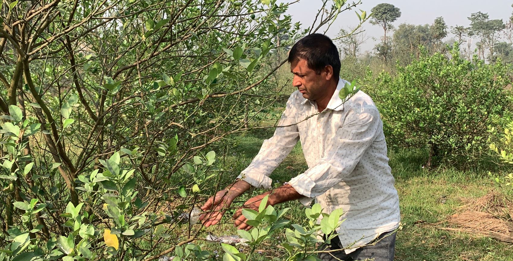 विदेशबाट फर्केर कागतीखेती गरेका रुद्रमणि भन्छन्– वर्षमा २० लाख कमाउँछु