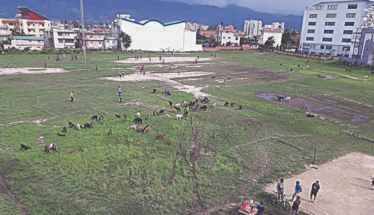 गुठीका जग्गा नम्बरी बनाइँदै