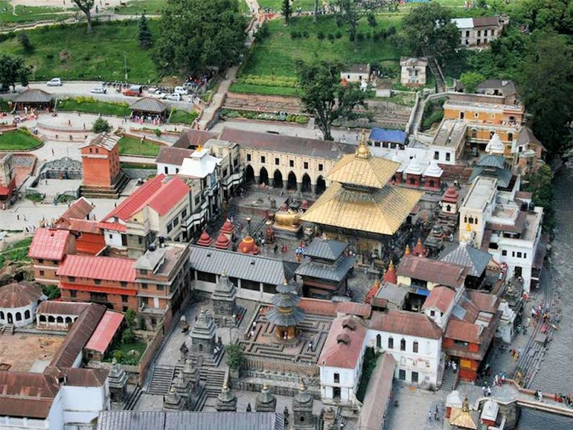 पशुपति क्षेत्रका खाली स्थानमा गुर्जो रोपिँदै