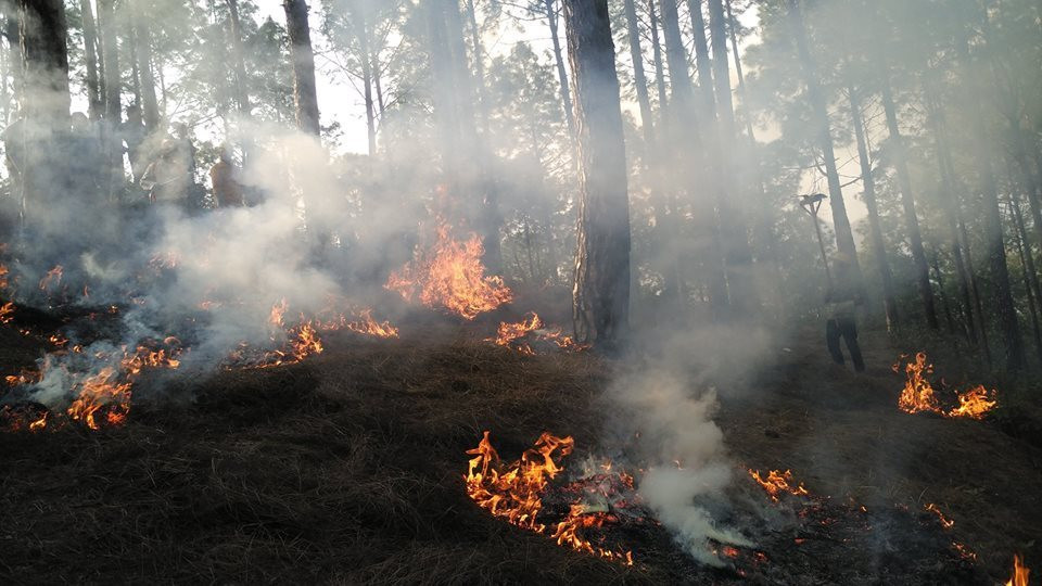 खडेरीका कारण रोकिएन वन डढेलो