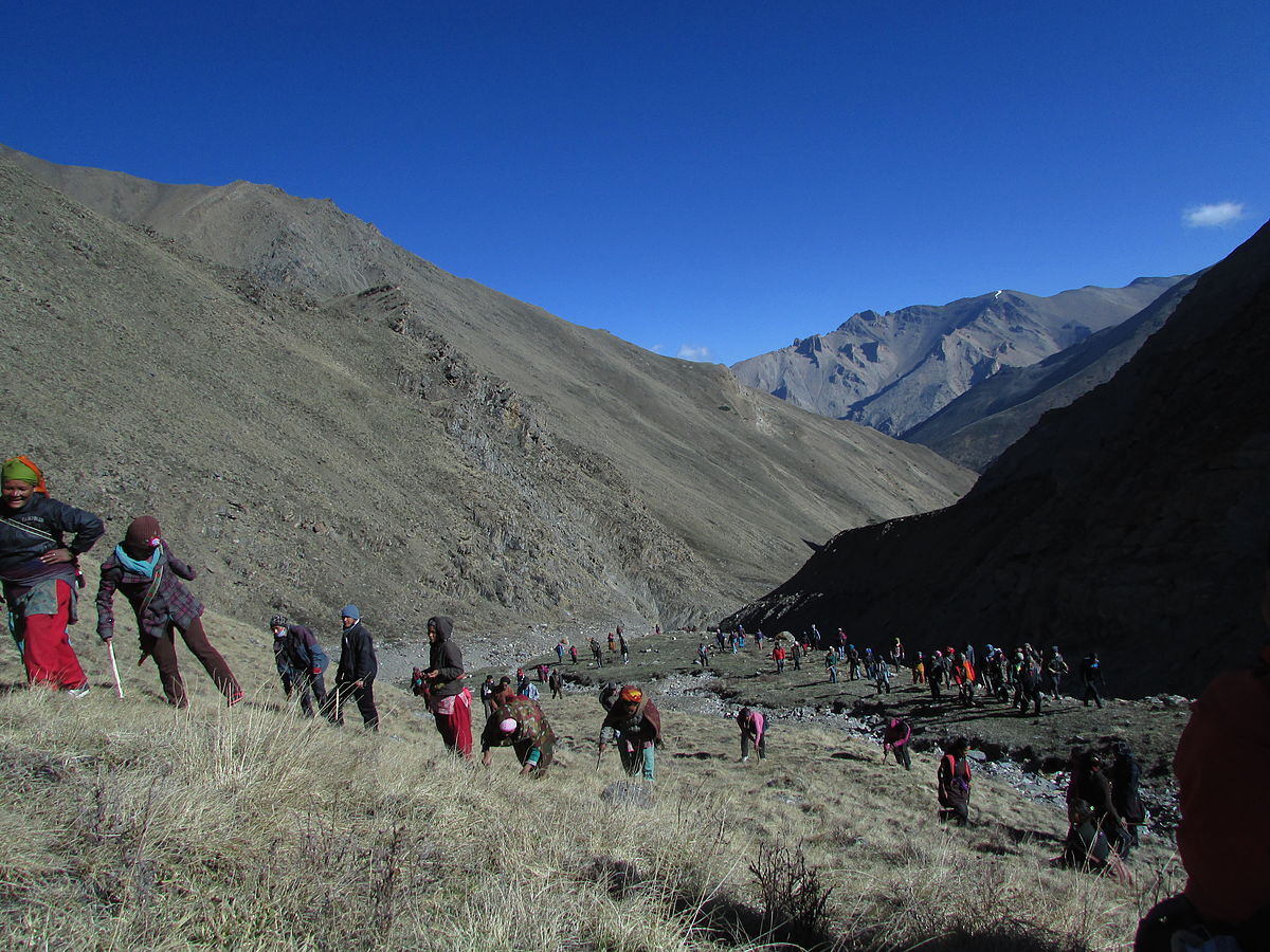 बिक्नै छाड्यो यार्सागुम्बा, गतवर्षभन्दा १० लाख मूल्य घटाइयो