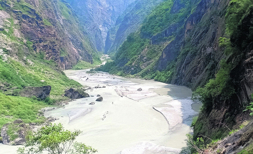 तामाकोसीमा माछा घटे !