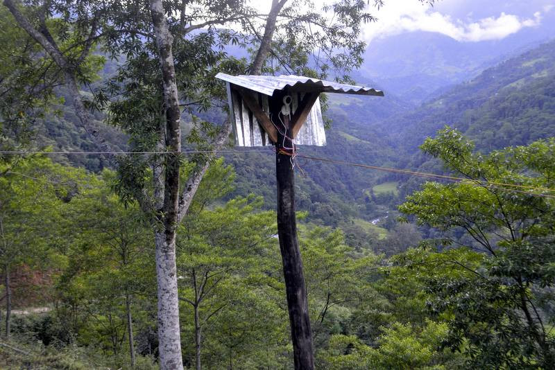 रुद्राक्षको बोटमा सिसी क्यामेरा