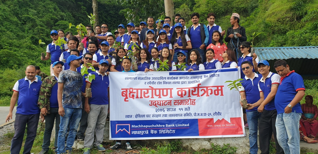 माछापुच्छ्रे बैंकद्वारा पोखरा र भक्तपुरमा वृक्षरोपण