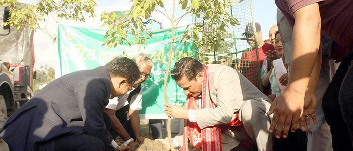 कलंकी-नागढुंगा सडक हरियाली बनाइने
