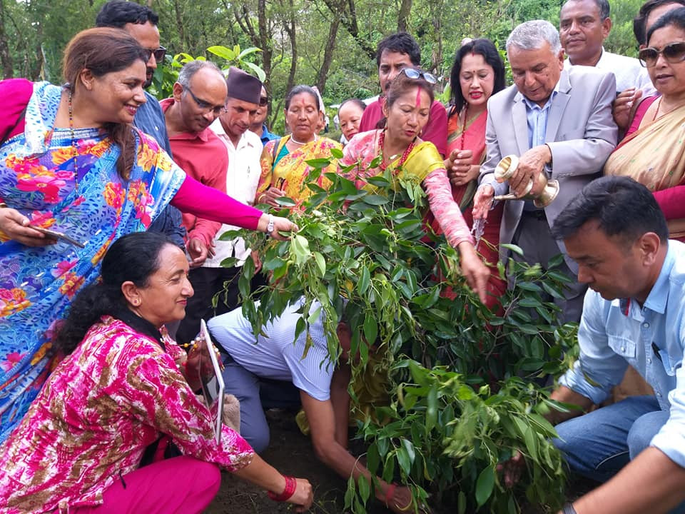 सरकारले अख्तियारलाई प्रभावमा पारेर लुटतन्त्र मच्चाएको छः नेता पौडेल