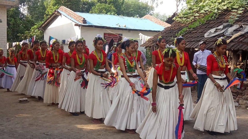 थारु गाउँमा सखिया नाचको रौनक