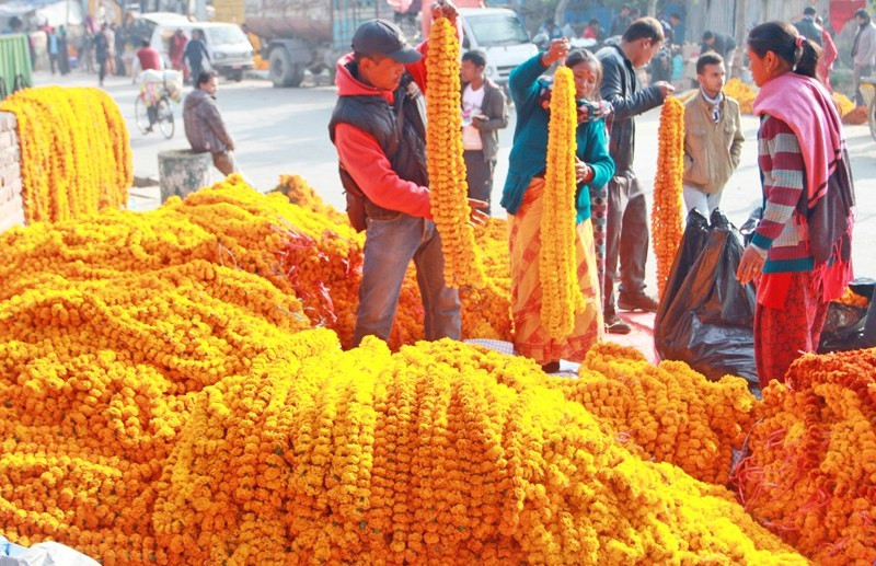 तिहारमा मालाकाे मूल्य ७० रूपैयाँसम्म पर्ने