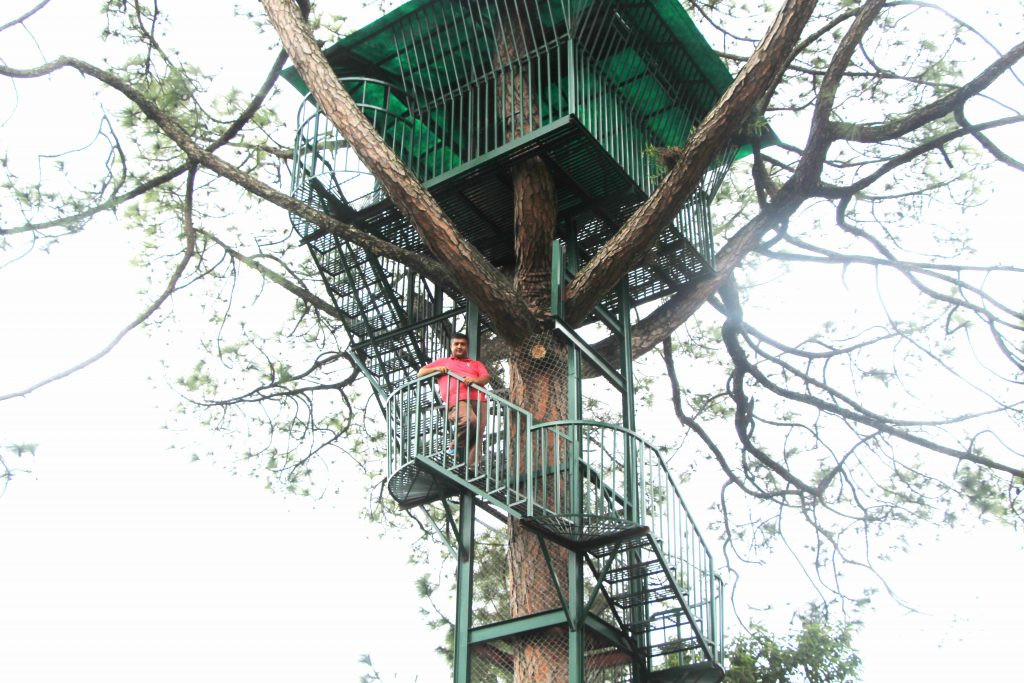 वाह ! रूख-घर,  दिनहुँ भीड, रुखमै बैठक बस्न सकिने
