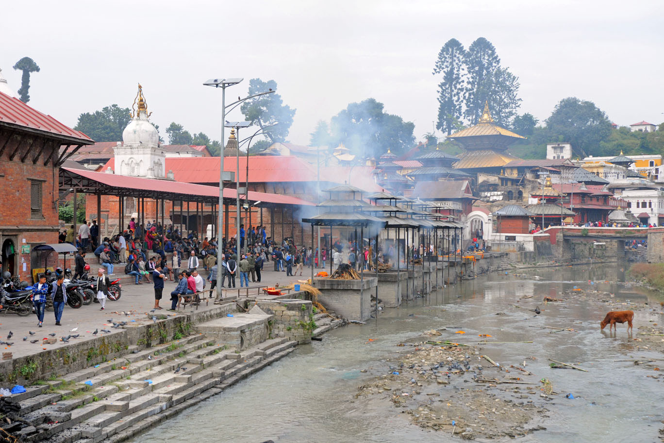 अन्तिम गन्तव्य, अस्तव्यस्त