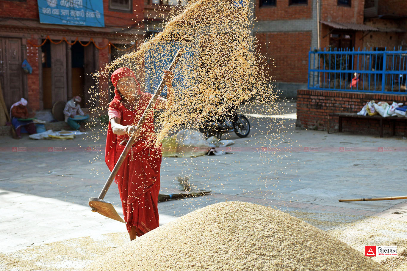 मुरी थन्क्याउने चटारो