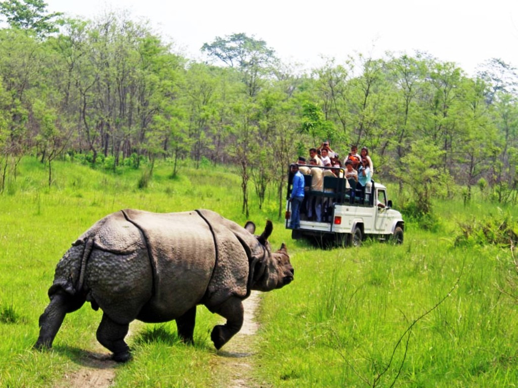 सौराहमा पर्यटकलाई रात्रिकालीन सफारी सहित चेपाङ खाना