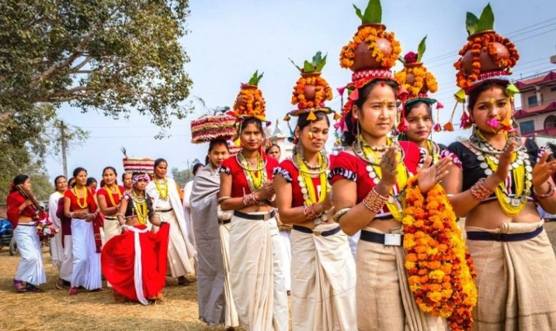 थारु समुदायमा माघीकाे राैनक, मुखिया पनि छनाेट हुँदै