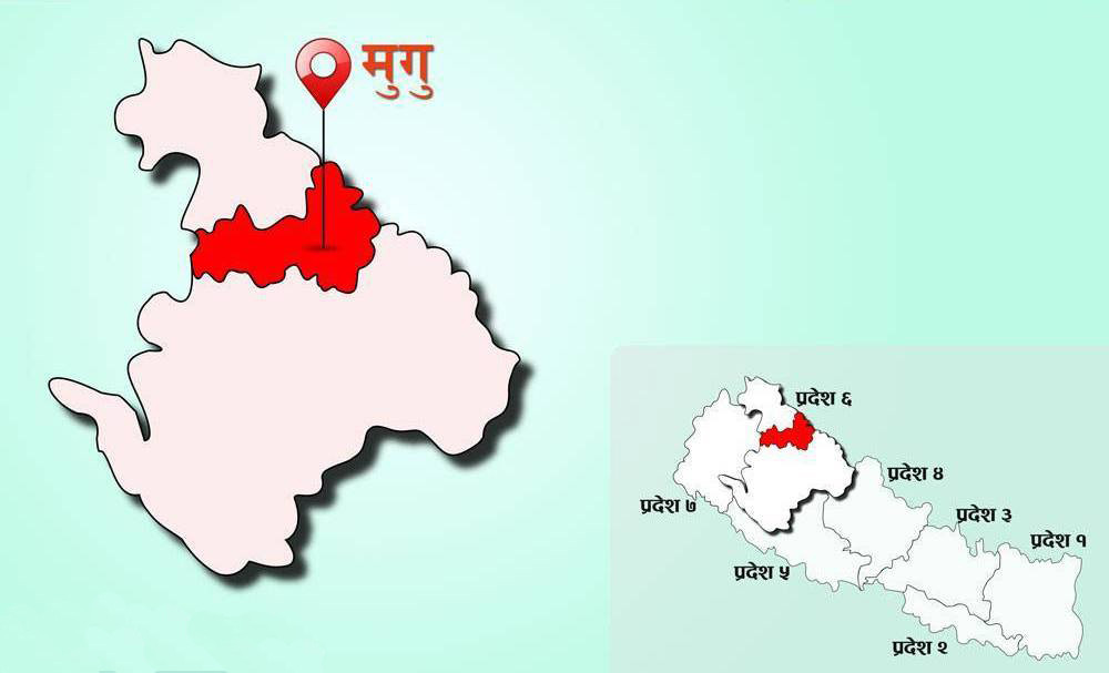 मुगुमा फैलिएको रुघाखोकी भाइरल इन्फ्लुएन्जा