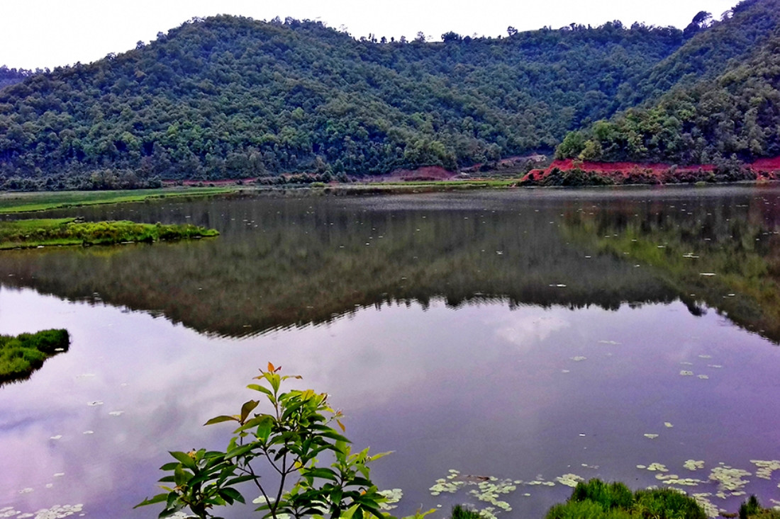 एउटै तालमा ३१ प्रजातिका जलपन्छी