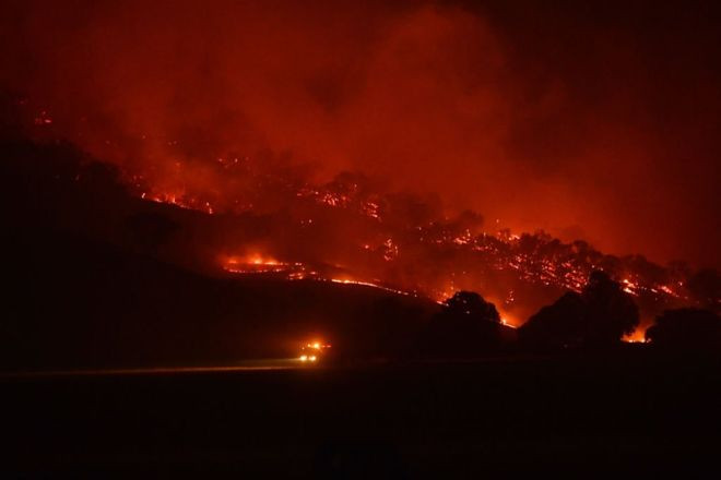 अस्ट्रेलियाको आगो नियन्त्रणबाहिर, प्रधानमन्त्रीले मागे माफी