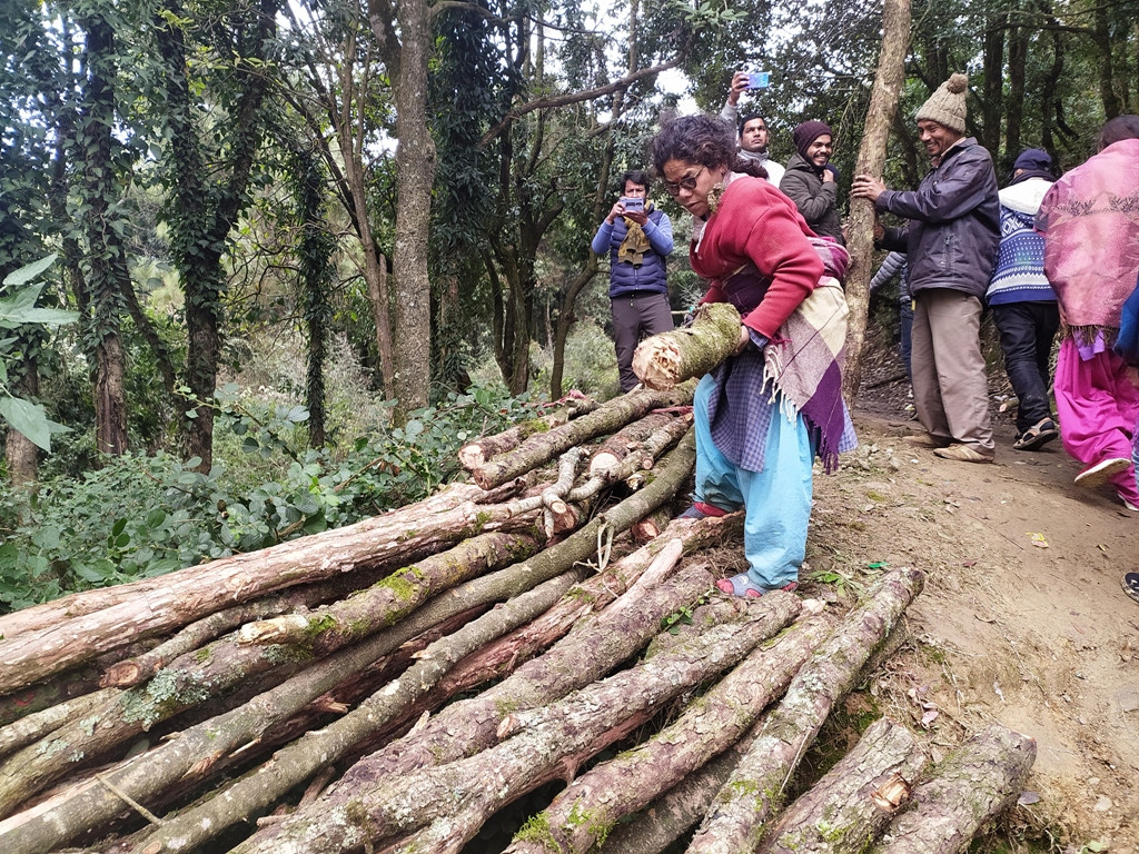 छेकानको नाममा वन फडानी