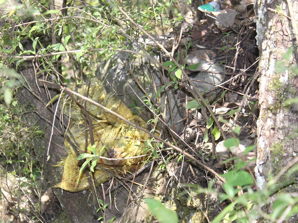 रोल्पामा भेटियो २ बोरा सकेट बम