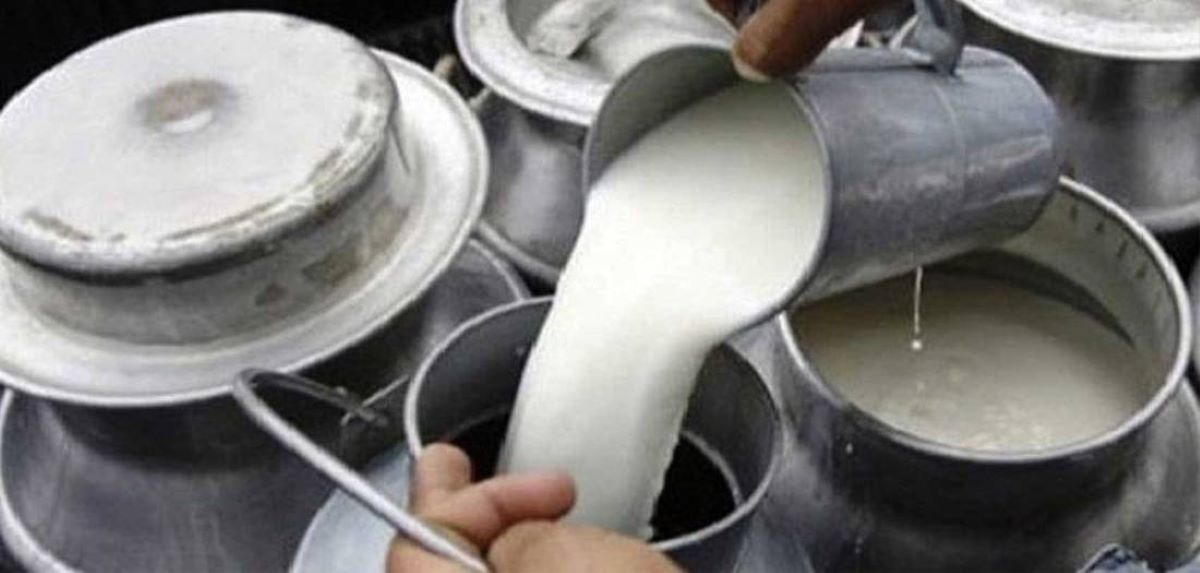 चितवनका दुग्ध उत्पादक किसानले अझै पाएनन् भुक्तानी