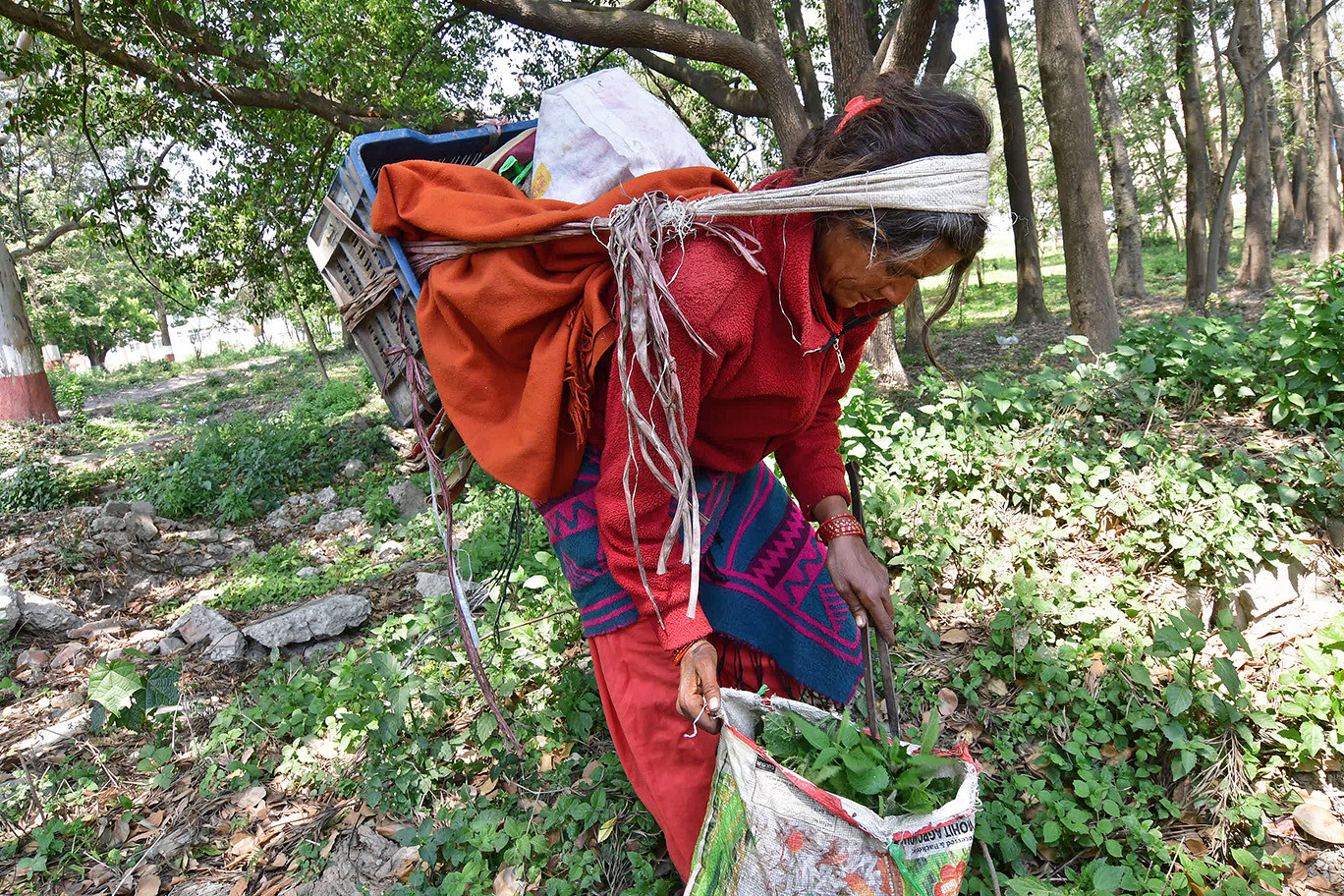 लकडाउन दैनिकीः कतै फुल्दै, कतै थप खुल्दै