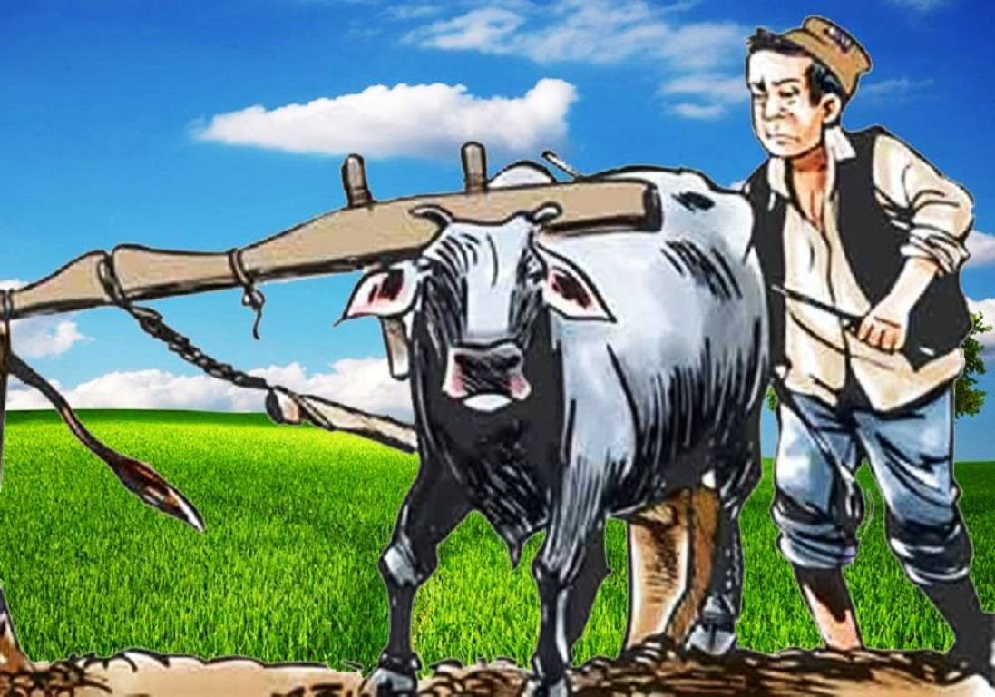 सुदूरपश्चिमका मुक्त हलिया परिवारलाई साँझबिहानको छाक टार्न मुस्किल
