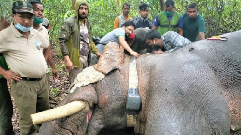 दाह्रा काटेर ‘ध्रुवे’ को घाँटीमा रेडियोकलर जडान