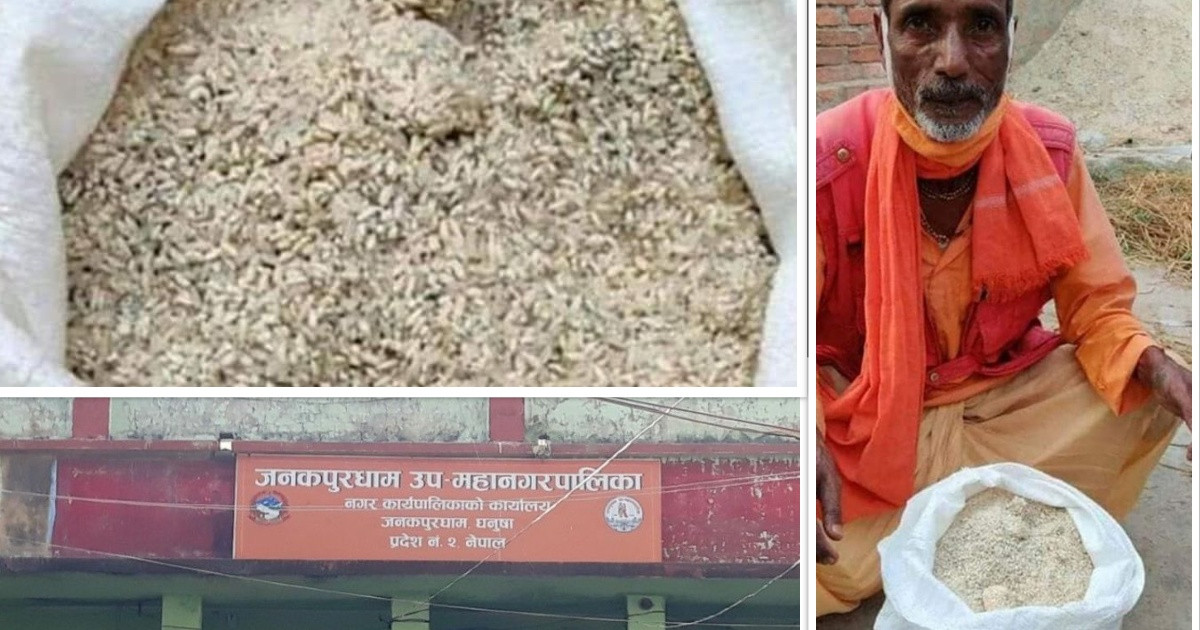 जनकपुरधाम उपमहानगरको राहत : विपन्नलाई कुहिएको चामल