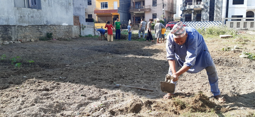 बाँझो जग्गा राख्न नपाइने भएपछि धमाधम तरकारी खेती गर्दै स्थानीय