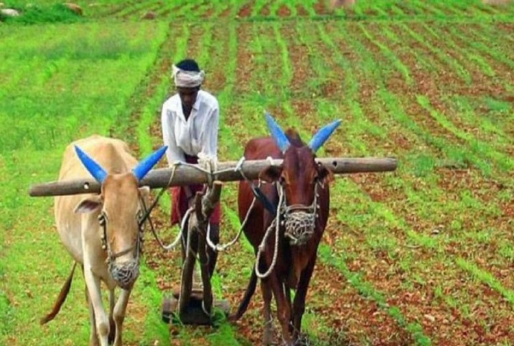 कृषिक्षेत्र कित्ताकाटमा कडाइ, जग्गालाई १० भागमा वर्गीकरण