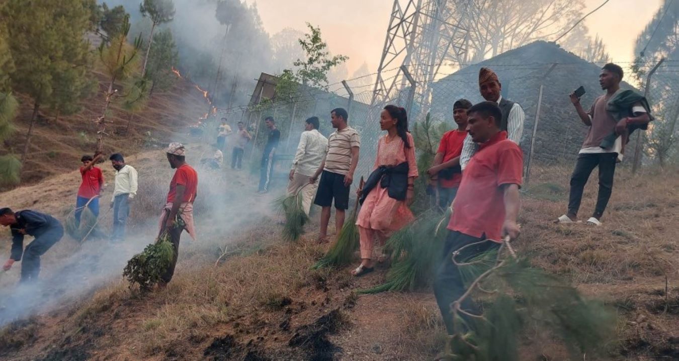 नियन्त्रण गर्न स्याउलाको भर, आपत्कालीन घोषणा गर्न विज्ञको सुझाव