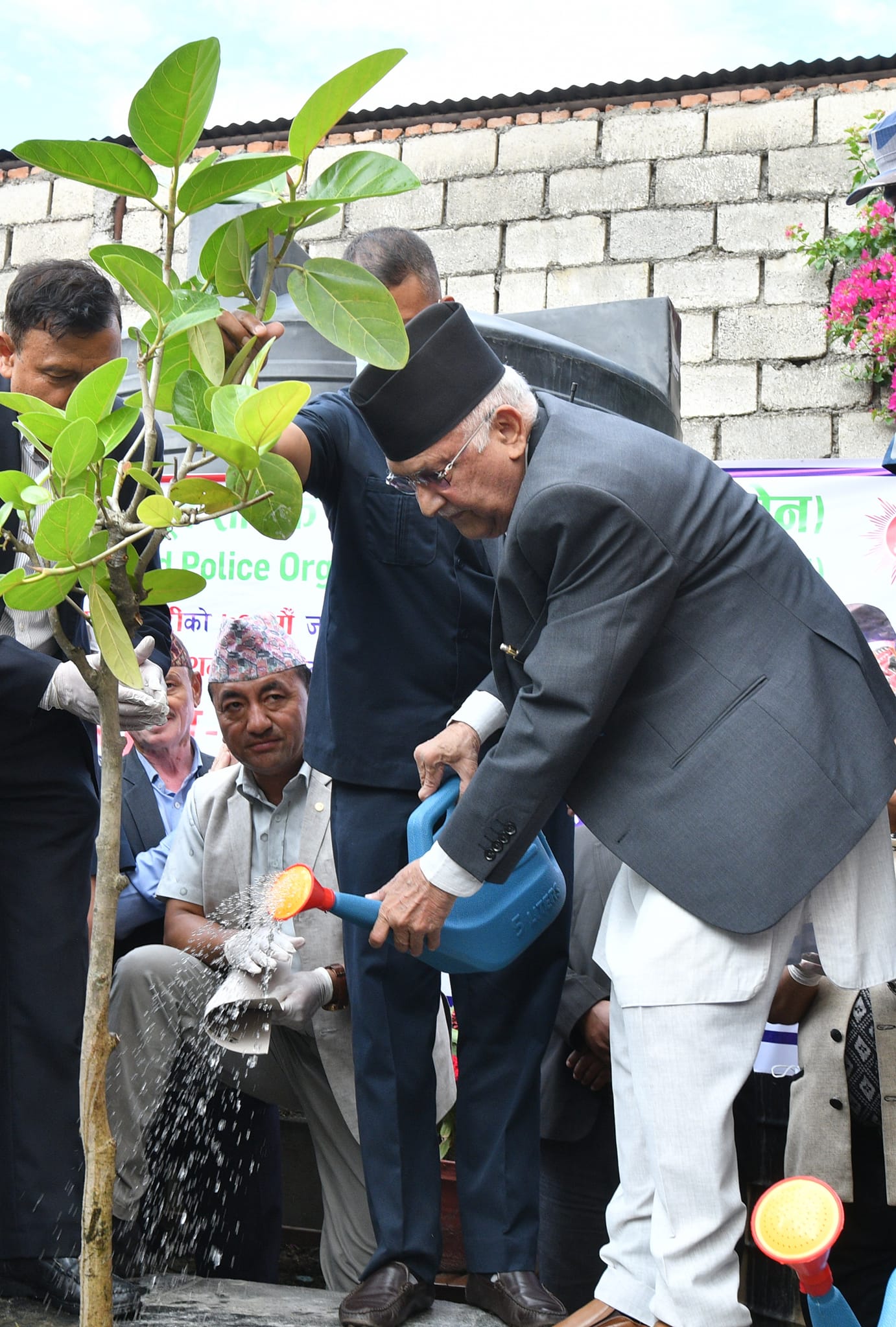 एमाले अध्यक्ष ओलीद्वारा वृक्षरोपण