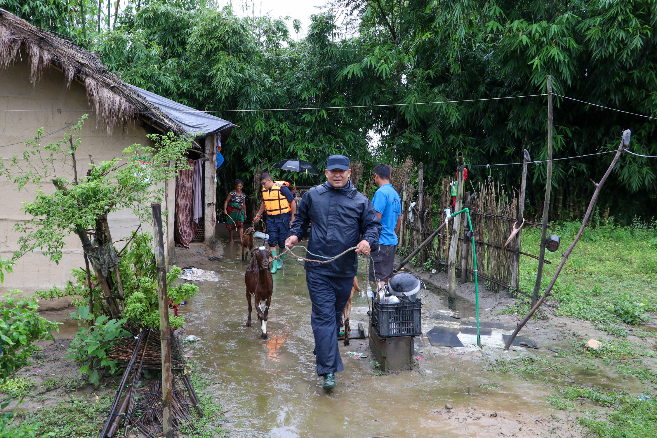 Amaltari-East-Nawalpur-Narayani-Dubhan_NPL-(16)-1790425885.JPG