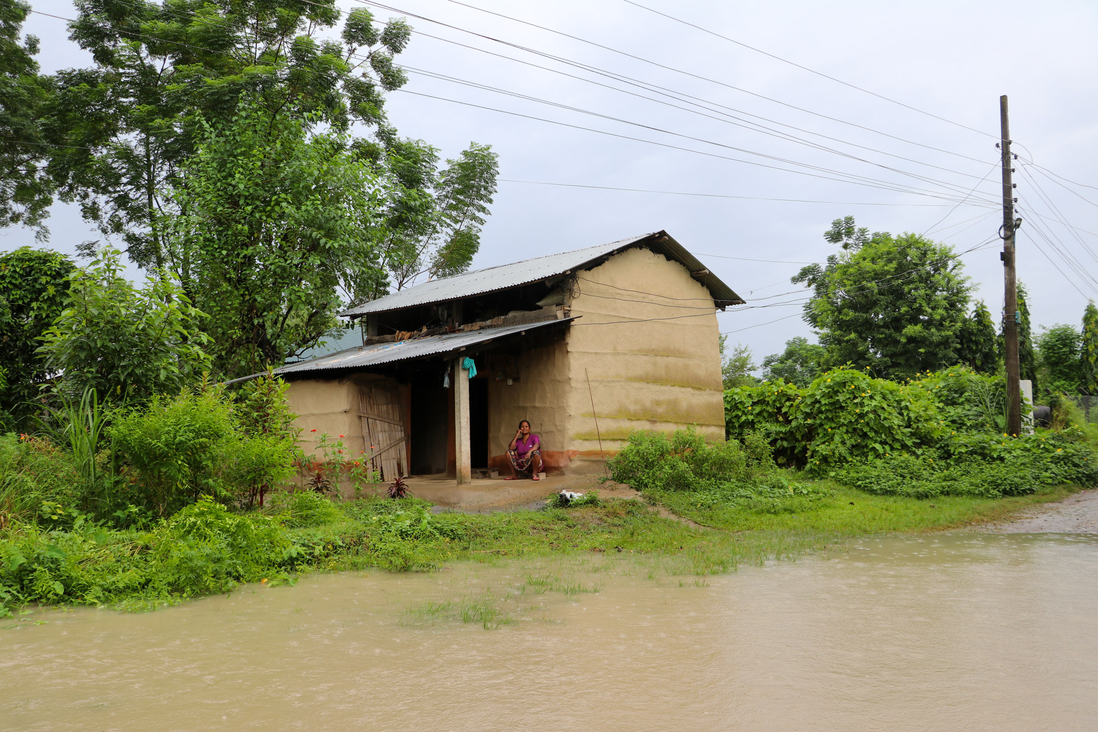 Amaltari-East-Nawalpur-Narayani-Dubhan_NPL-(18)-1790425886.JPG