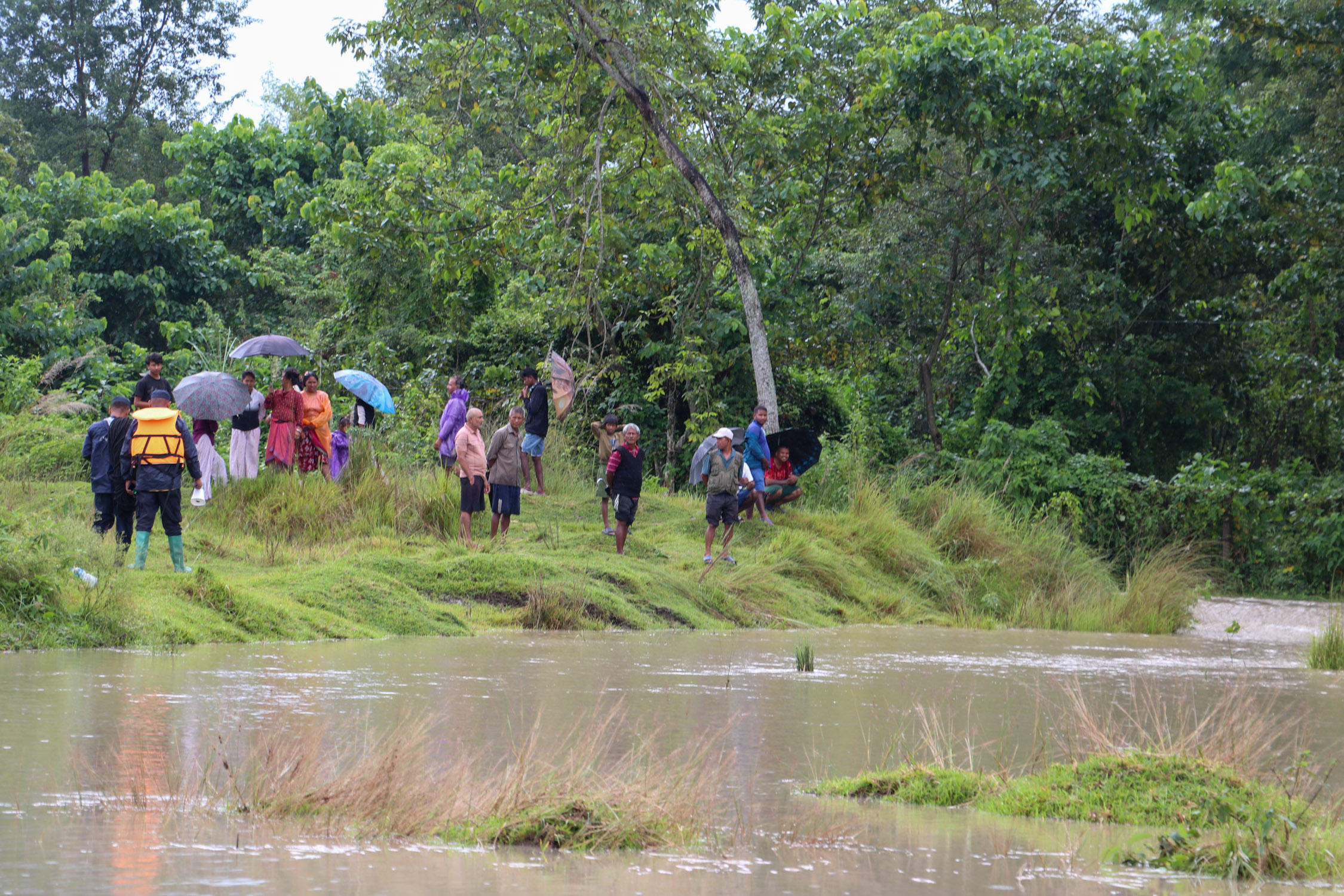 Amaltari-East-Nawalpur-Narayani-Dubhan_NPL-(20)-1790425887.JPG