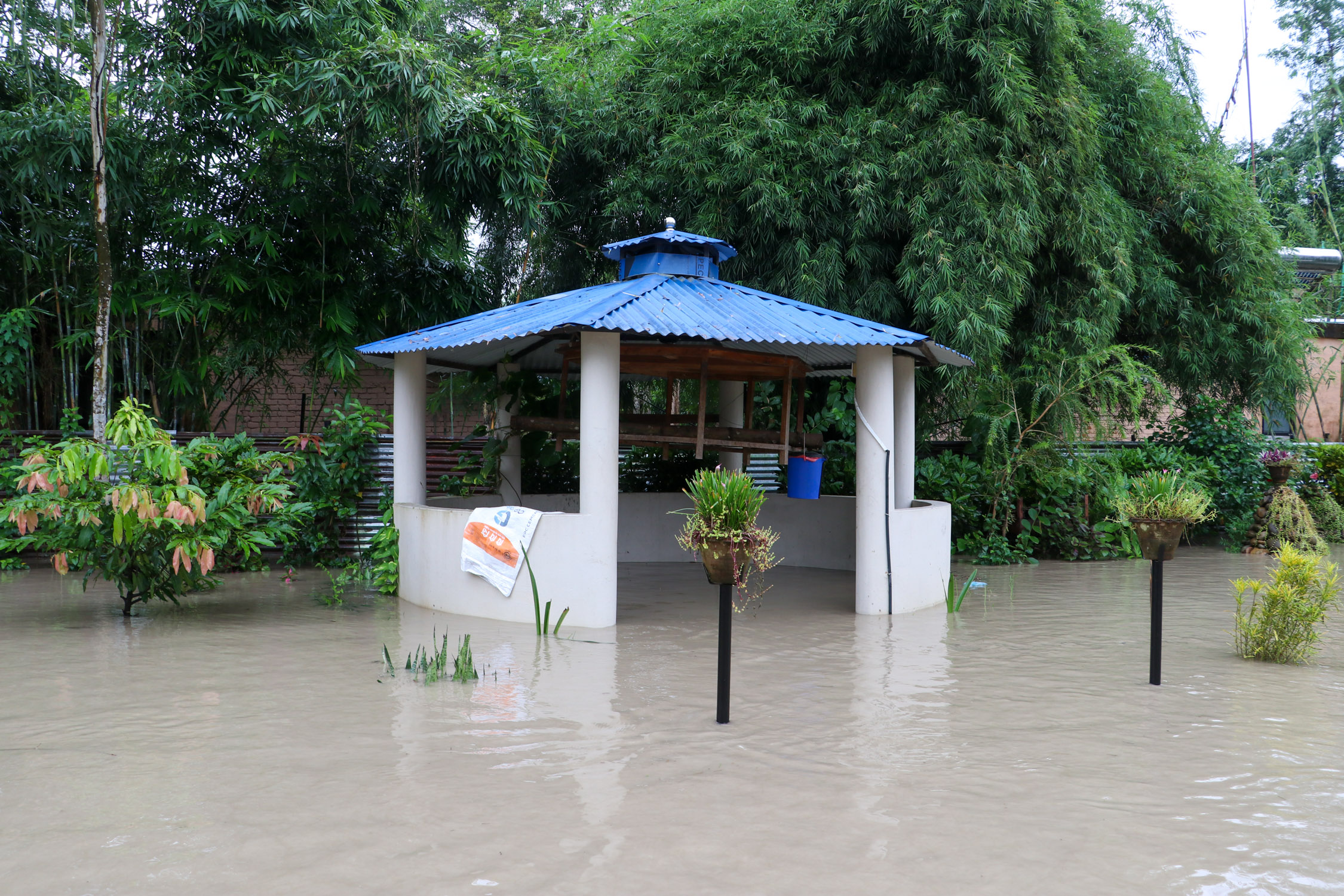 Amaltari-East-Nawalpur-Narayani-Dubhan_NPL-(22)-1790425888.JPG